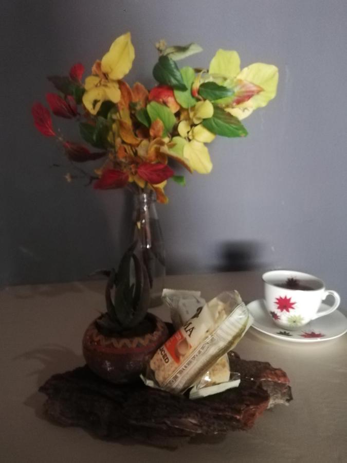 Ashtree Guesthouse Hanover Road Exteriér fotografie